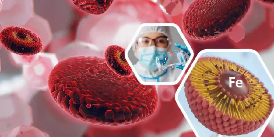 ​​​​​​​Liposomal iron