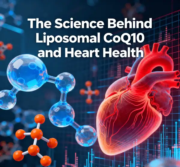 The Science Behind Liposomal CoQ10 and Heart Health