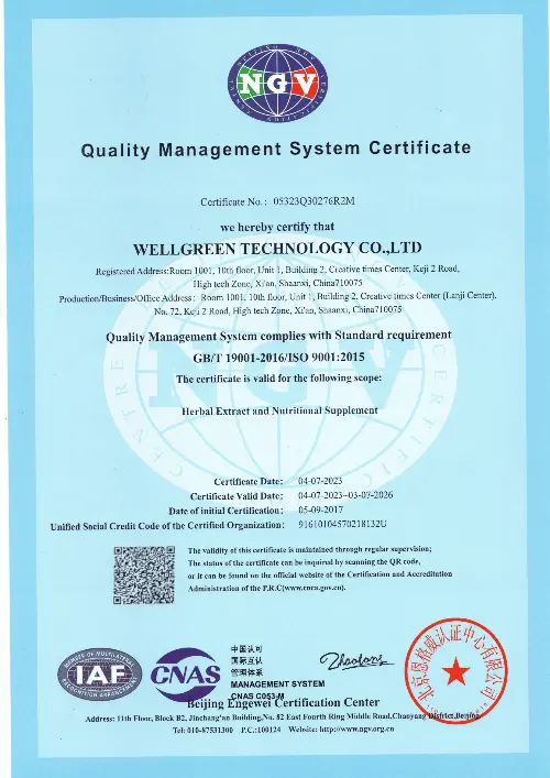 ISO9001