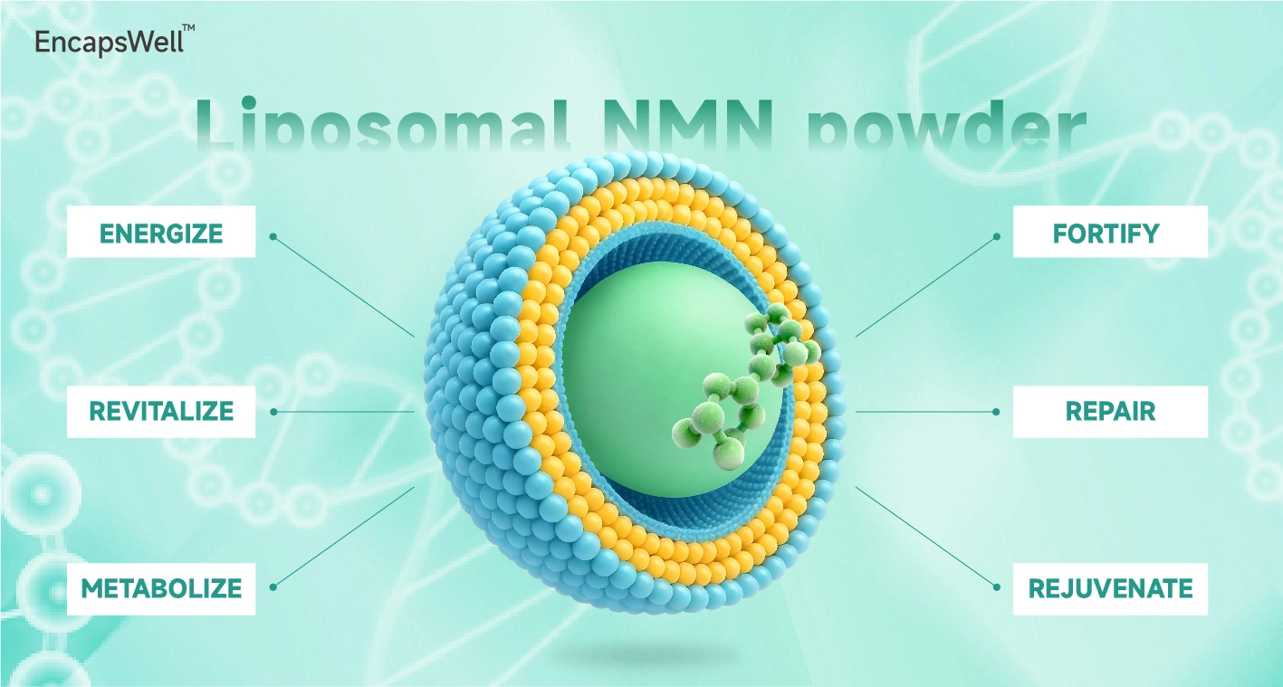 EncapsWell™ liposomal NMN powder EncapsWell™ liposomal NMN powder