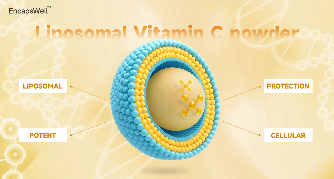 EncapsWell™ Liposomal Vitamin C Powder