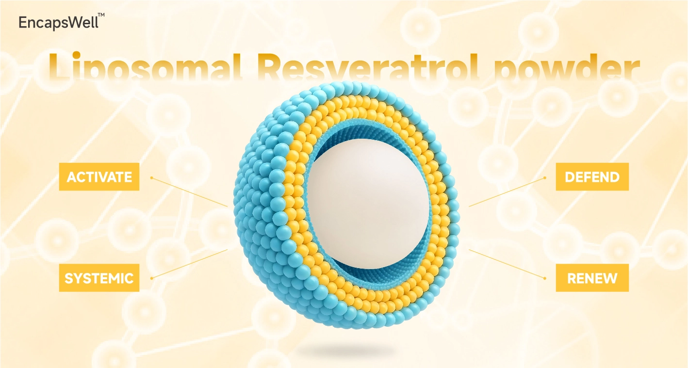 EncapsWell™ Liposomal Resveratrol Powder
