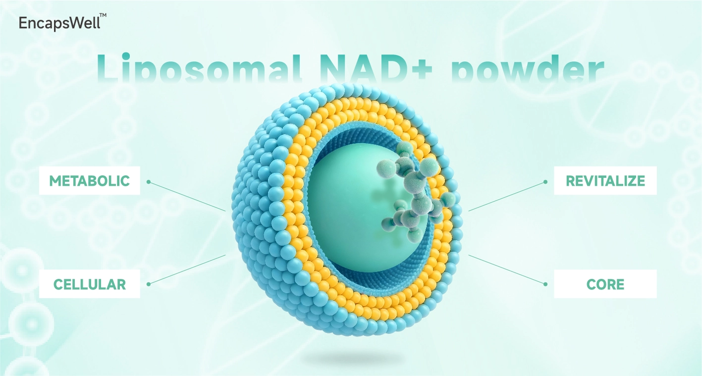 EncapsWell™ Liposomal NAD+ Powder