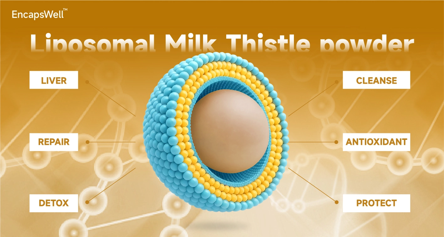 Liposomal Milk Thistle Powder