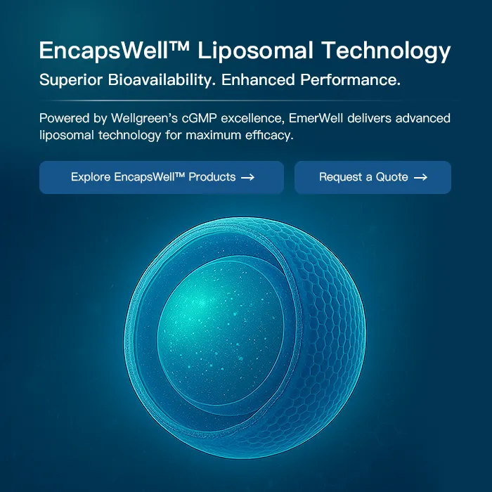 手机端banner_1757929820917