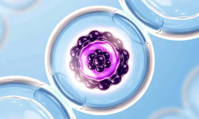 Sureau liposomal ou sureau traditionnel&nbsp;: lequel choisir&nbsp;?