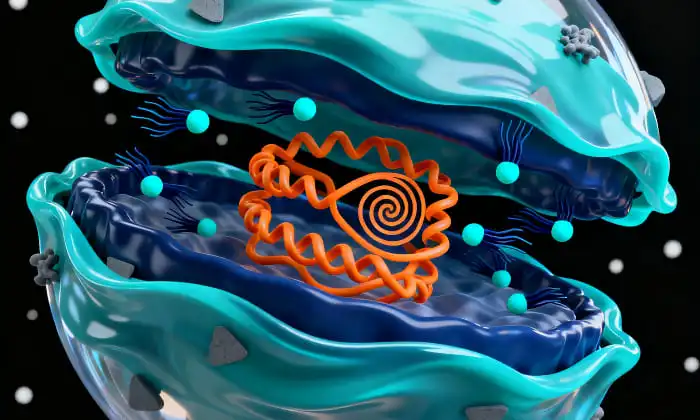 Le sureau liposomal est-il sans danger pour les enfants et les personnes âgées&nbsp;?