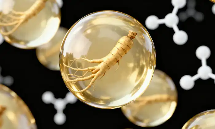 Ginseng liposomal et santé cognitive&nbsp;: peut-il améliorer la concentration et la mémoire&nbsp;?