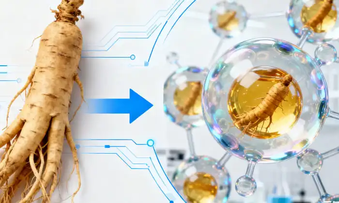 Le ginseng liposomal dans les environnements de travail stressants