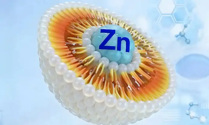 Comment le zinc liposomal soutient-il la protection cellulaire et les fonctions antioxydantes&nbsp;?
