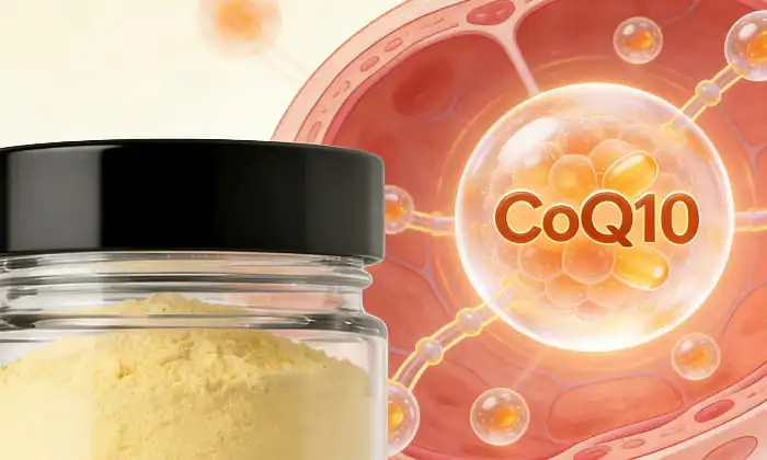 Meilleures poudres de CoQ10 liposomales pour une biodisponibilité optimale