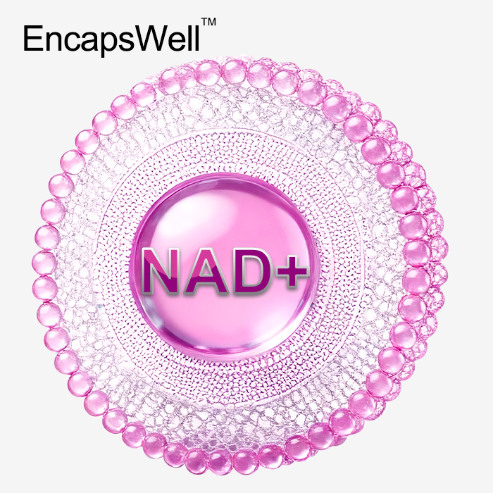 Liposomal NAD+ Powder