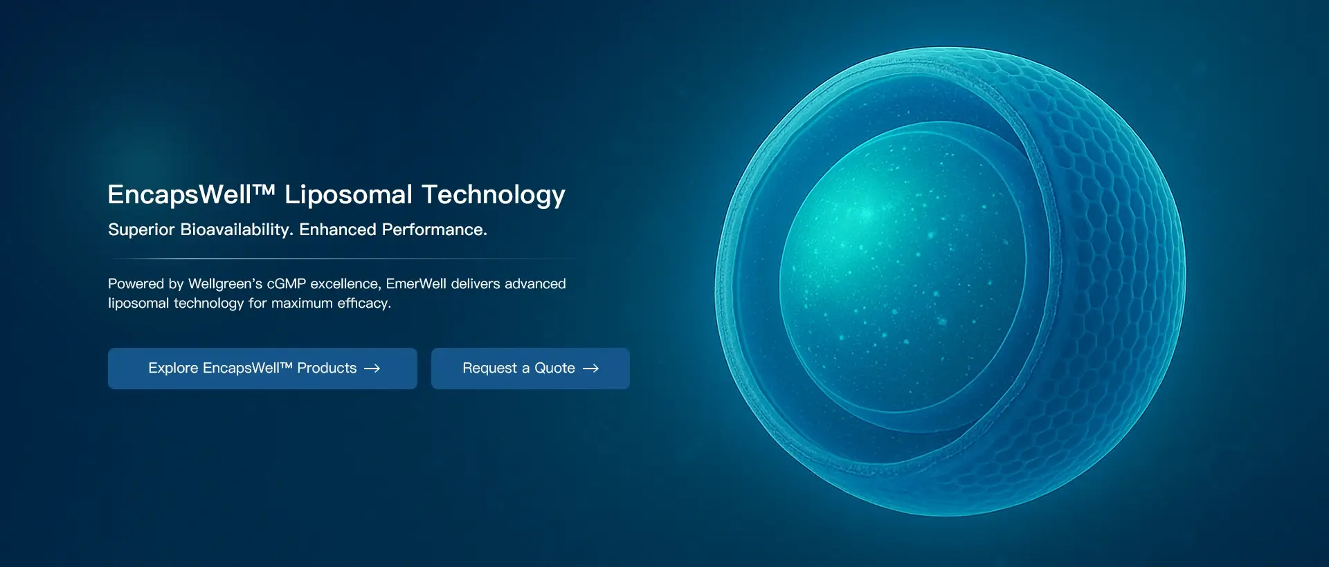 1-banner_1757502747221