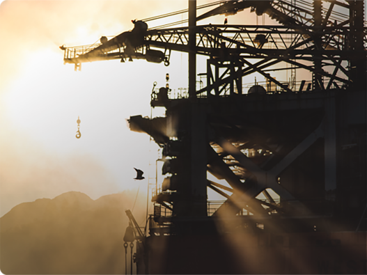 Liposomal Calcium Powder and Workout Recovery: Benefits for Active Lifestyles